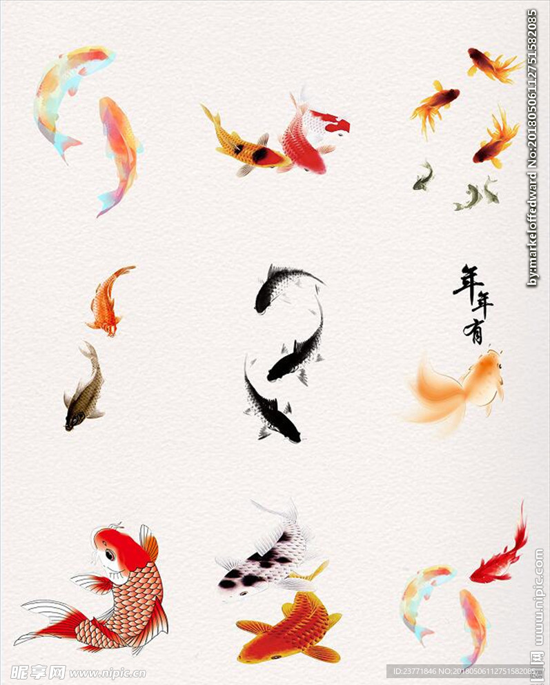 鱼素材