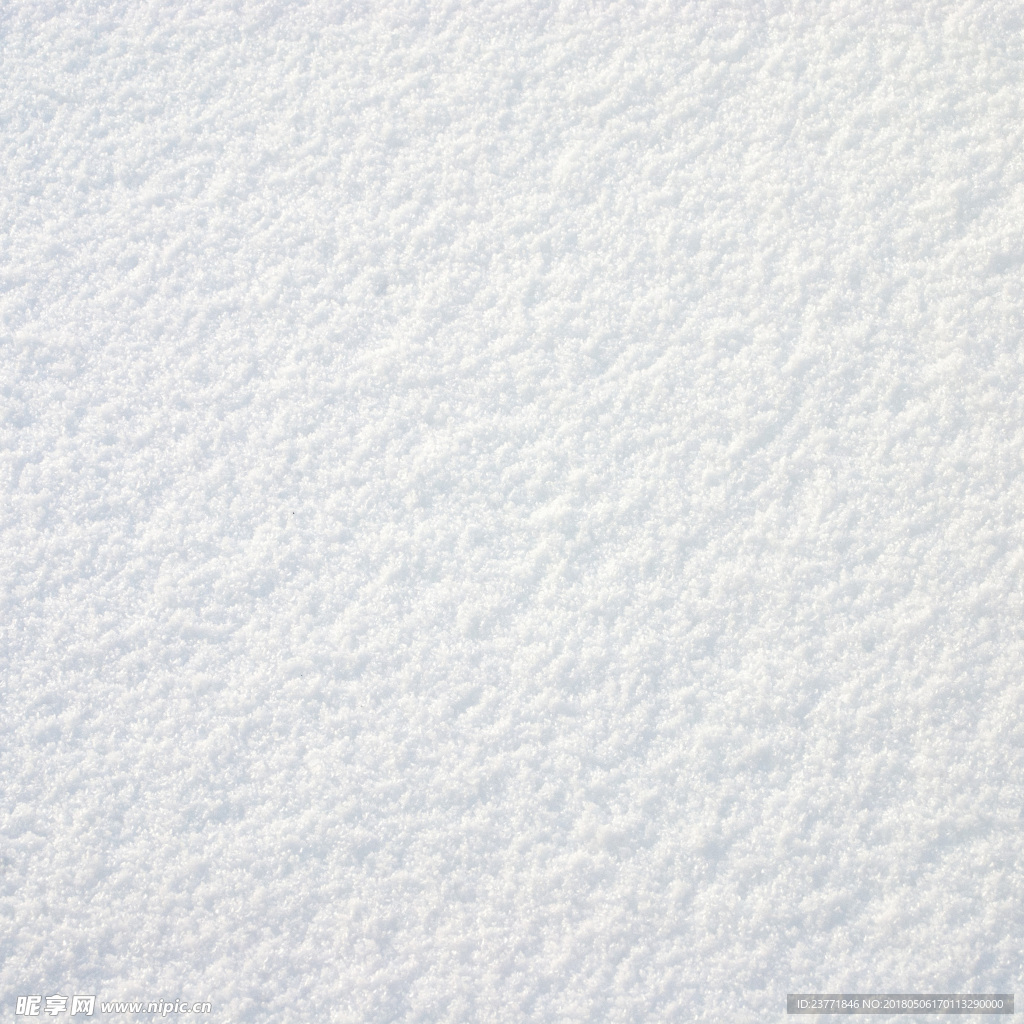 雪地