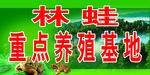林蛙养殖厂