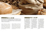 精品企业画册模板第65套第4页