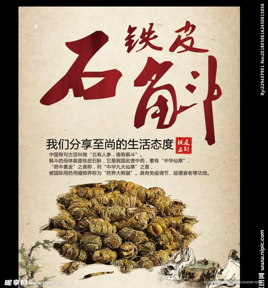 铁皮石斛