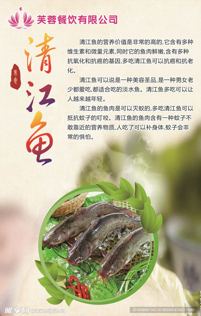 动物海报