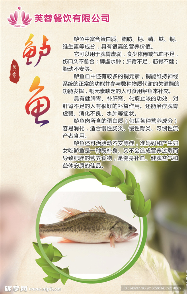 动物海报