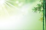 绿色阳光翠竹背景