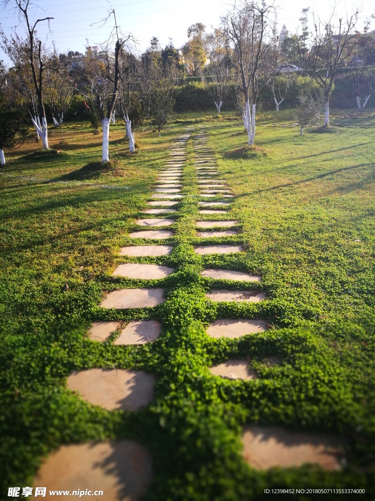 草地石板路