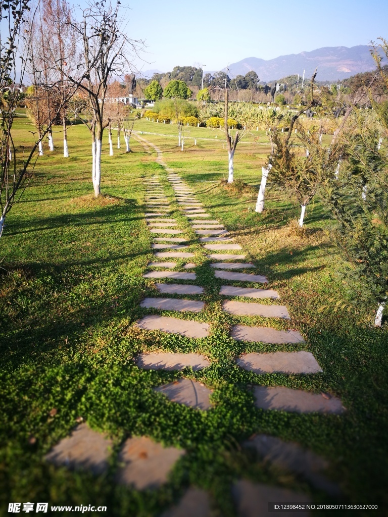 草地石板路