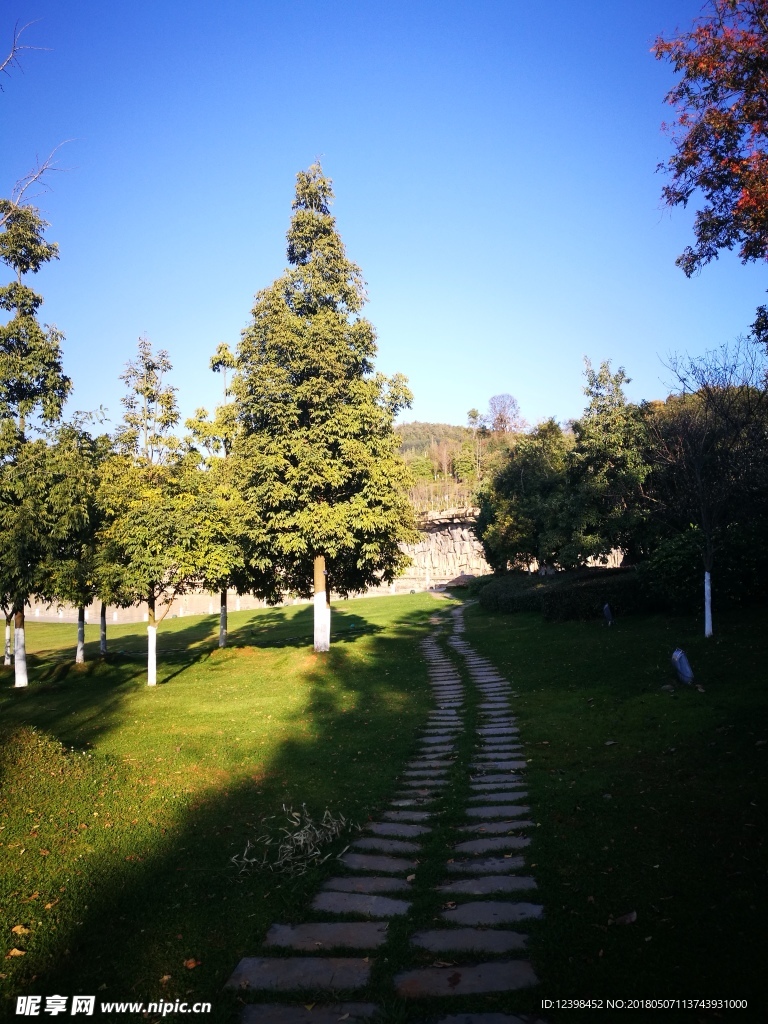 草地石板路