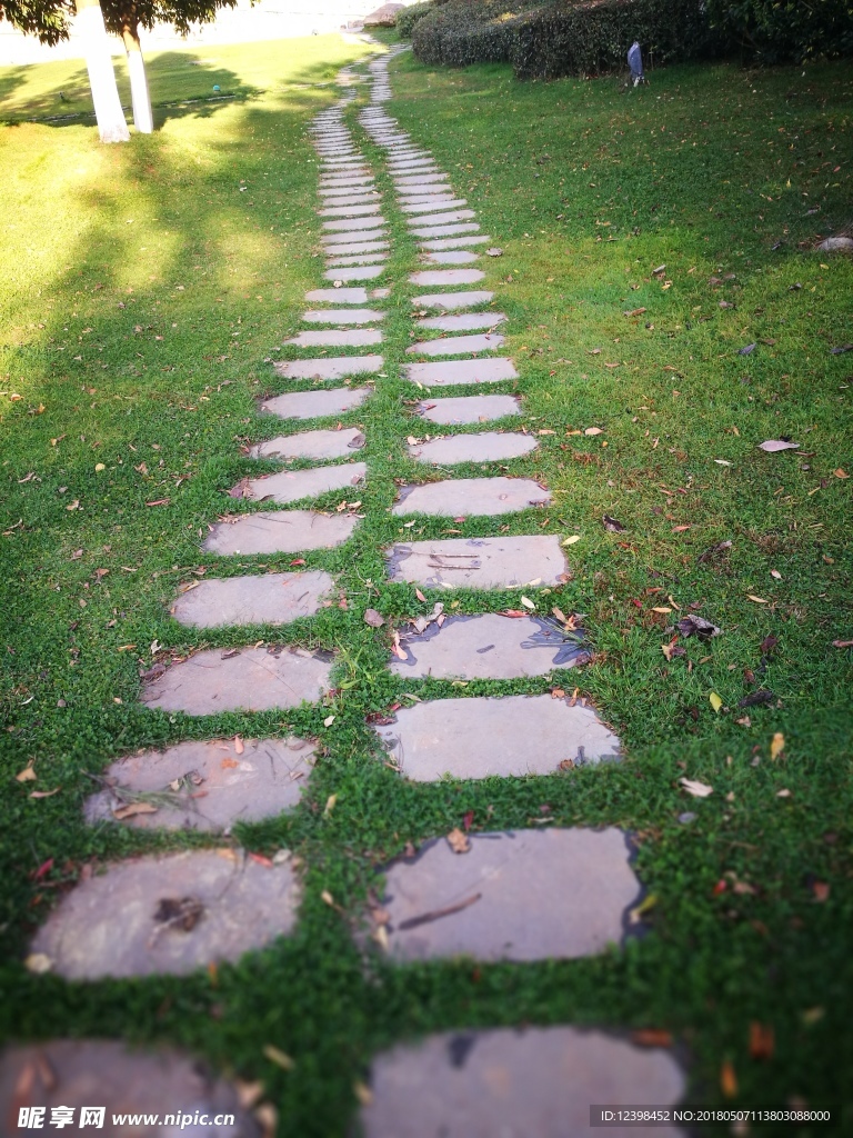 草地石板路