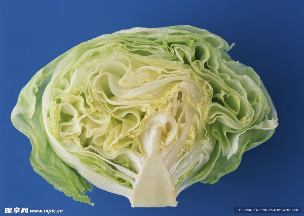 白菜