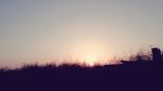 草照夕阳