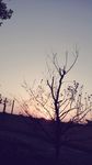 夕阳落