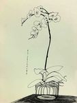 花绘插图