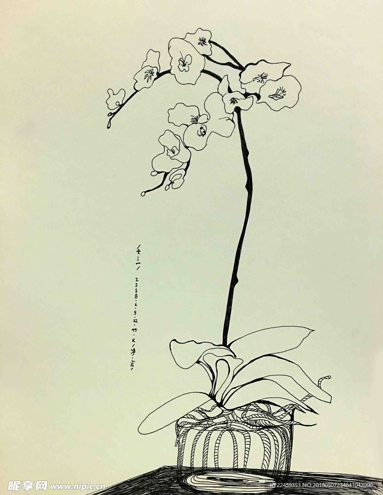 花绘插图