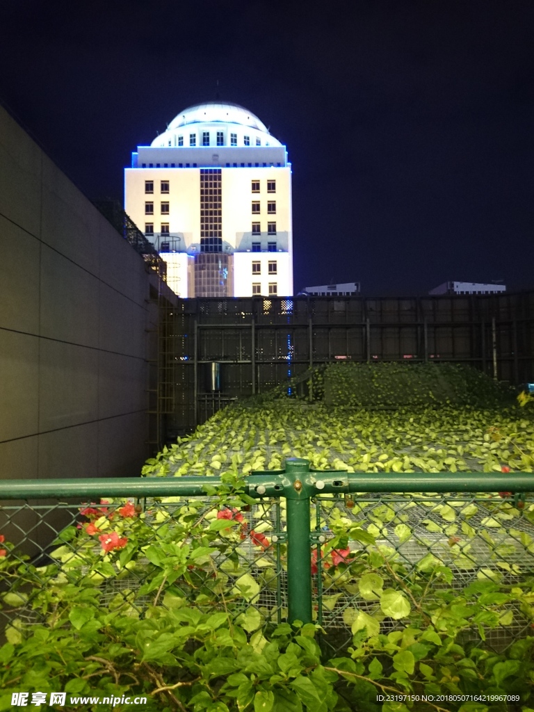 夜景