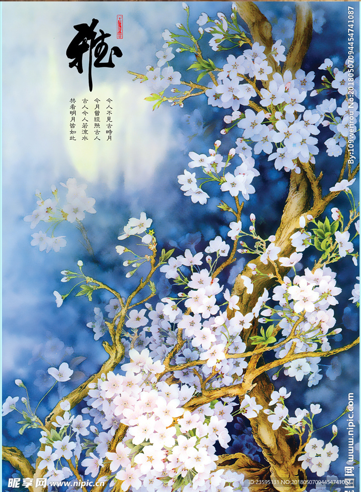 梨花