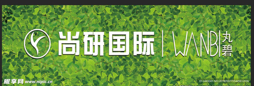 绿色背景