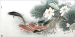锦鲤