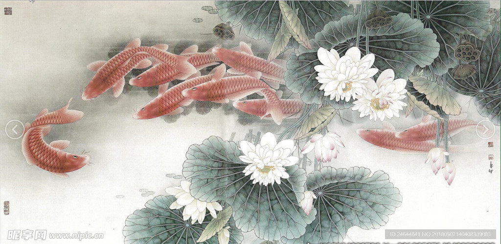 锦鲤