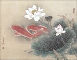 鲤鱼