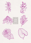 手绘线性创意花卉插画