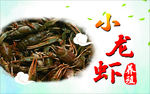 小龙虾养殖