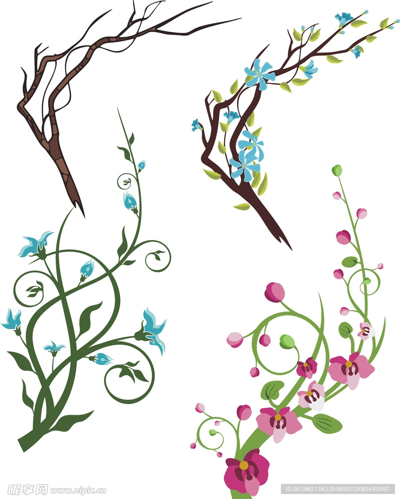 花枝