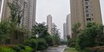 住宅小区内 雨后清新优美的画面