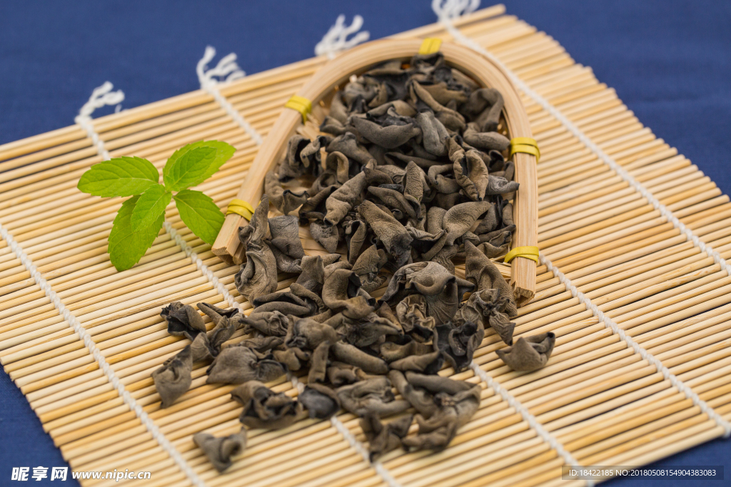 东北木耳