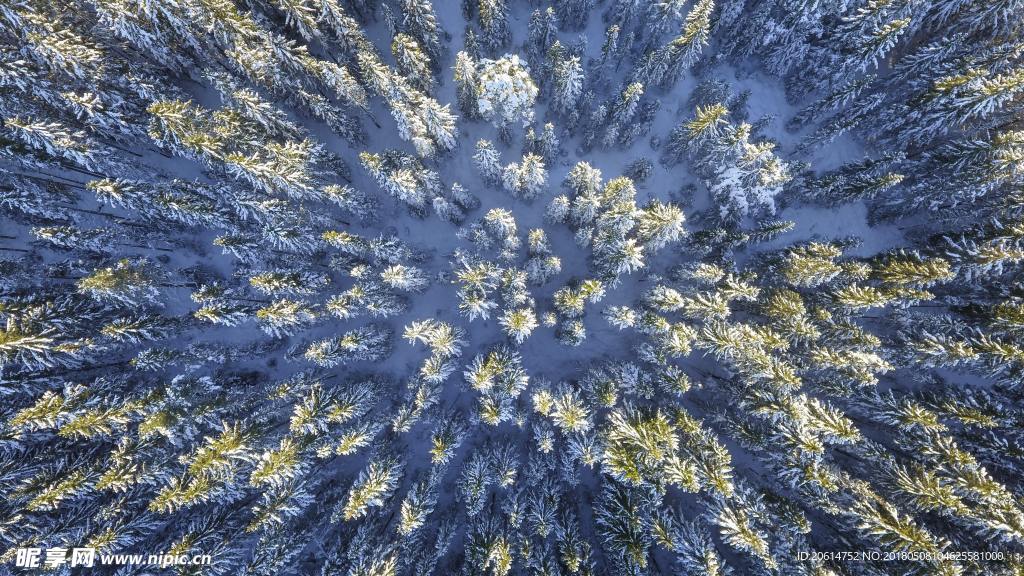 俯瞰林海雪原