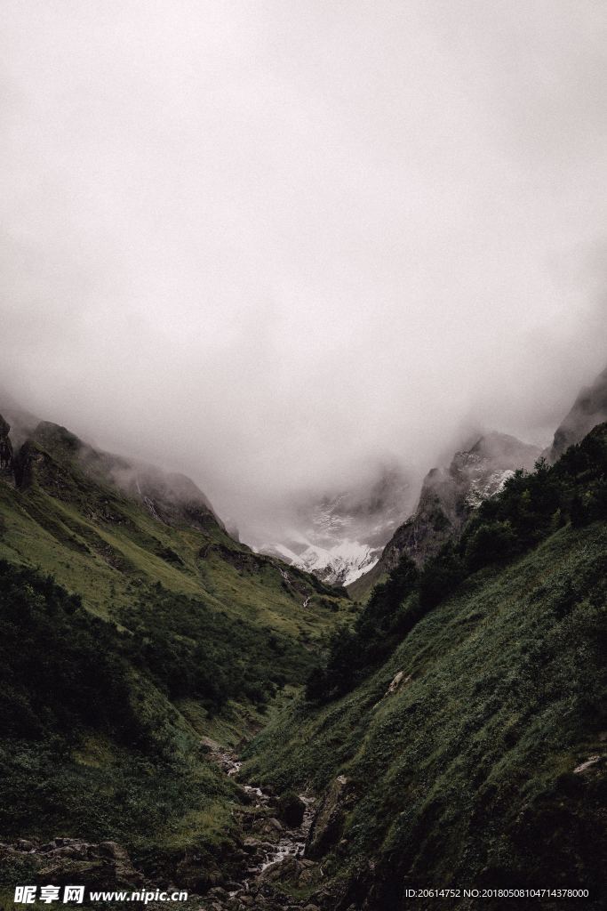 高山云雾美景