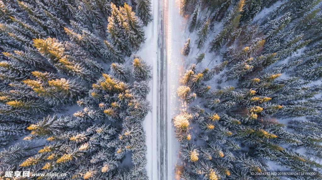 俯瞰林海雪原
