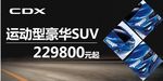 CDX车顶牌