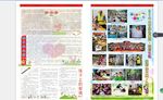 文化报纸
