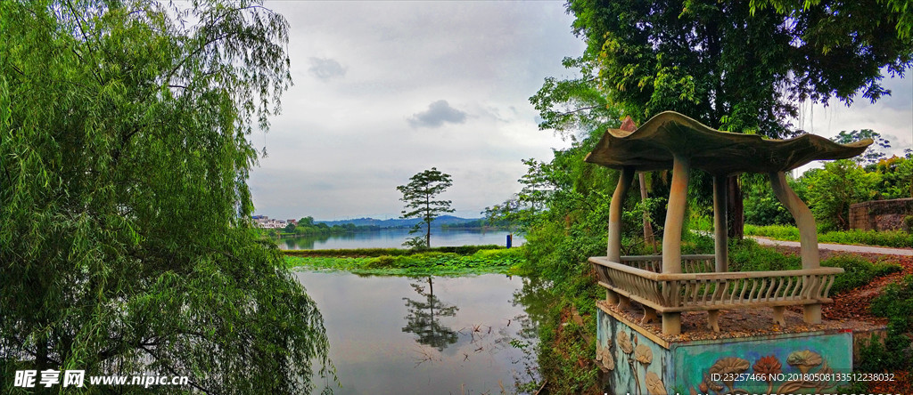 莲塘景观