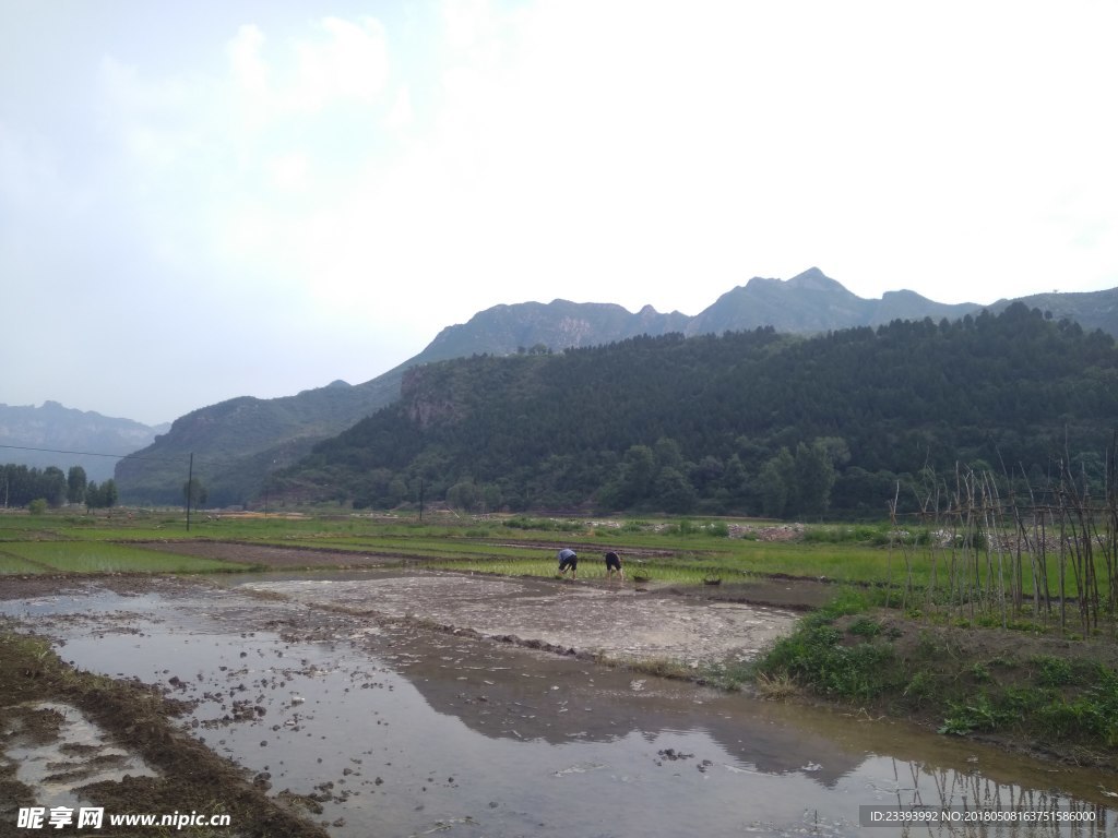 邯郸涉县农民耕作