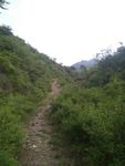 邯郸涉县山路