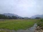 邯郸涉县田地