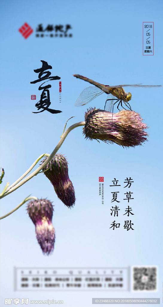 二十四节气  立夏