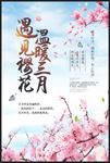 遇见樱花