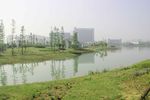 公园风景