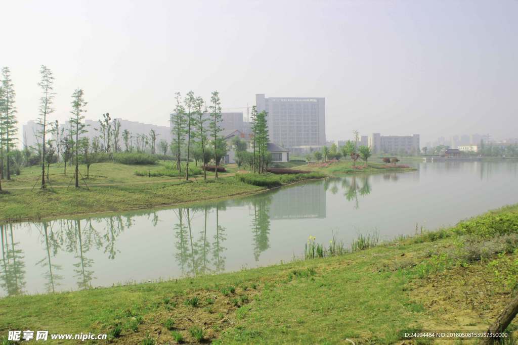 公园风景