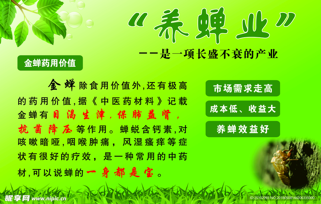 养蝉业单透贴