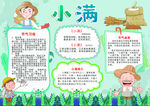 节气小报