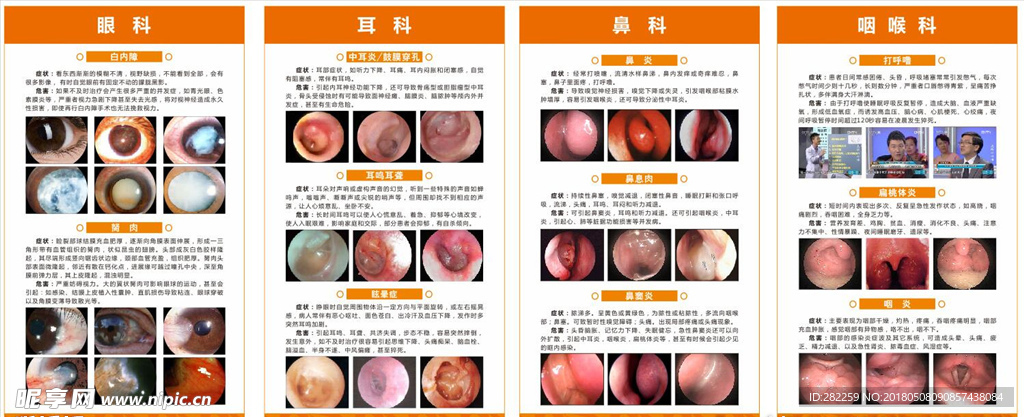 眼科耳科鼻科喉科详细介绍图