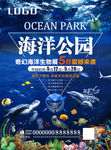海洋公园 奇幻海洋生物展