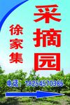 采摘园