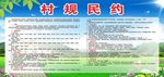村规民约