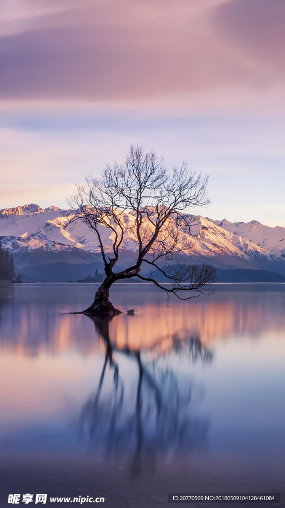 风景