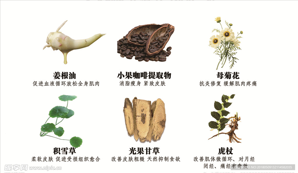 植物配方   小果咖啡提