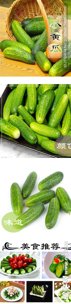 小黄瓜详情